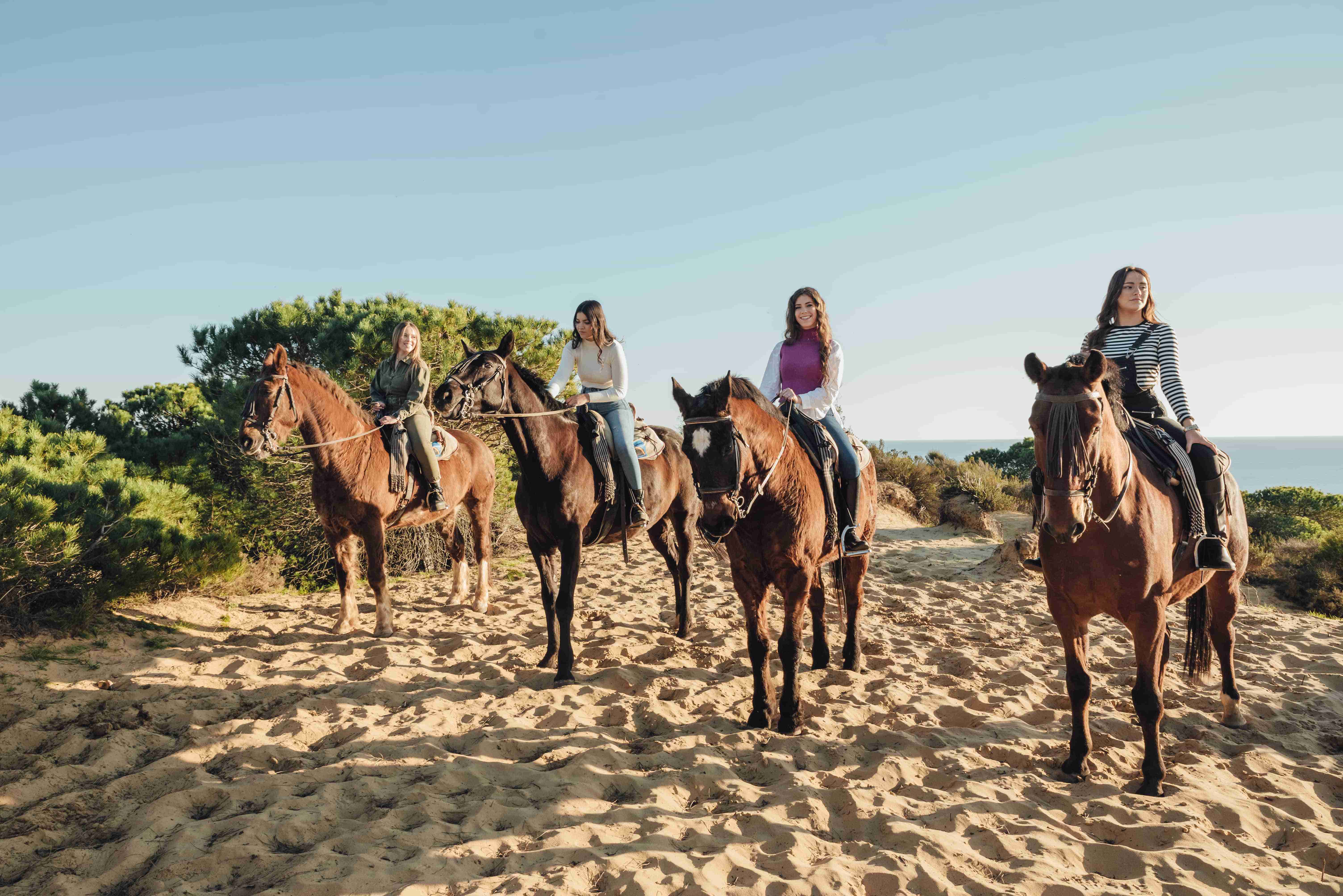 Horse Riding
